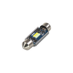 LED sufit (39mm) bílá, 12V, 2LED/CSP1860 CAN-Bus, bílá+modrá 9523041WB
