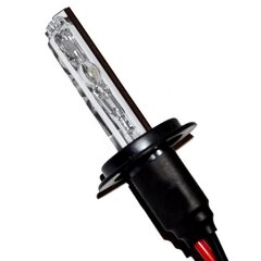 Náhradní výbojka Xenon H7 6000K